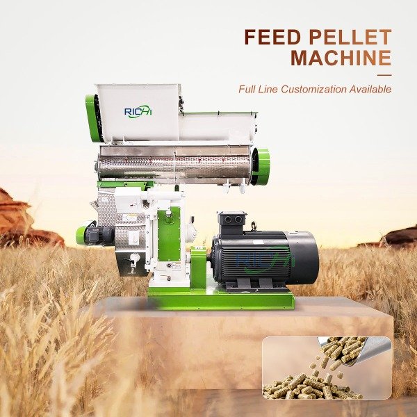 Featured images of horse feed pellet machines
